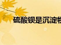 硫酸鋇是沉淀物嗎（硝酸鈣是沉淀嗎）