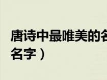 唐詩(shī)中最唯美的名字女孩兔（唐詩(shī)中最唯美的名字）