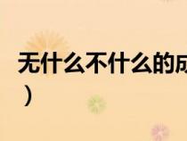 無什么不什么的成語詞（無什么不什么的成語）