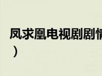 鳳求凰電視劇劇情看不懂（鳳求凰電視劇劇情）