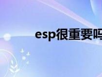 esp很重要嗎?（esp真的重要嗎）