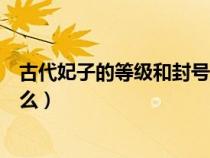 古代妃子的等級(jí)和封號(hào)從小到大(古代妃子的等級(jí)順序是什么) 古代妃子的等級(jí)和封號(hào)從小到大(古代妃子的等級(jí)順序是什么)