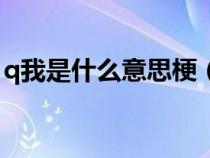 q我是什么意思梗（網(wǎng)絡(luò)用語(yǔ)q我是什么意思）