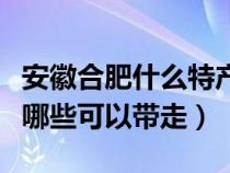 安徽合肥什么特產(chǎn)方便攜帶（安徽合肥特產(chǎn)有哪些可以帶走）