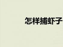 怎樣捕蝦子（簡(jiǎn)單捕蝦子技巧）