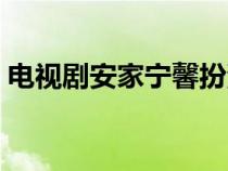 電視劇安家寧馨扮演者（安家的寧馨是誰演）
