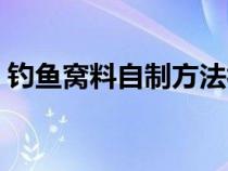 釣魚窩料自制方法視頻（釣魚窩料自制方法）