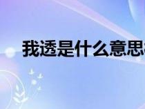 我透是什么意思梗（我透了是什么意思）