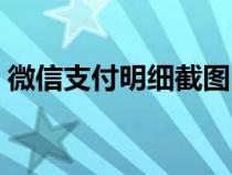 微信支付明細(xì)截圖(微信支付帳單怎么截屏) 微信支付明細(xì)截圖(微信支付帳單怎么截屏)