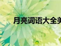 月亮詞語大全美好（描寫月亮的詞語）