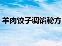 羊肉餃子調(diào)餡秘方曝光（羊肉餃子如何調(diào)餡）