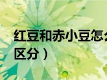 紅豆和赤小豆怎么區(qū)分?（紅豆和赤小豆怎么區(qū)分）