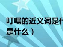 叮囑的近義詞是什么詞是什么（叮囑的近義詞是什么）