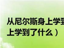 從尼爾斯身上學(xué)到了什么300字（從尼爾斯身上學(xué)到了什么）