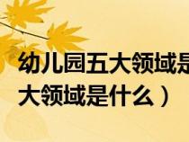 幼兒園五大領(lǐng)域是什么時(shí)候確立的（幼兒園五大領(lǐng)域是什么）