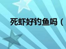 死蝦好釣魚嗎（用死蝦釣魚的正確方法）
