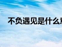 不負遇見是什么意思?（什么叫不負遇見）