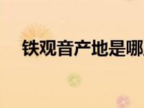 鐵觀音產(chǎn)地是哪里(鐵觀音的產(chǎn)地在哪) 鐵觀音產(chǎn)地是哪里(鐵觀音的產(chǎn)地在哪)