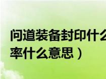問道裝備封印什么屬性好（問道裝備封印追擊率什么意思）