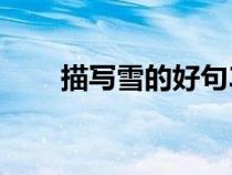 描寫雪的好句30字（描寫雪的好句）