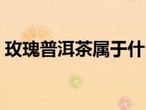 玫瑰普洱茶屬于什么茶（普洱茶屬于什么茶）