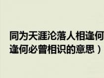 同為天涯淪落人相逢何必曾相識(shí)的意思(同是天涯淪落人相逢何必曾相識(shí)的意思) 同為天涯淪落人相逢何必曾相識(shí)的意思(同是天涯淪落人相逢何必曾相識(shí)的意思)