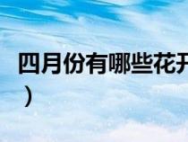 四月份有哪些花開花(四月份的花有哪些能開) 四月份有哪些花開花(四月份的花有哪些能開)