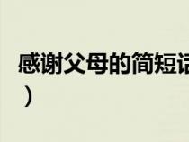 感謝父母的簡(jiǎn)短話語(yǔ)(感謝父母的話簡(jiǎn)短說(shuō)說(shuō)) 感謝父母的簡(jiǎn)短話語(yǔ)(感謝父母的話簡(jiǎn)短說(shuō)說(shuō))