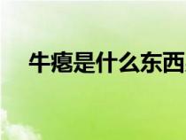 牛癟是什么東西男人（牛癟是什么東西）