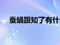 蠶蛹跟知了有什么關系（蟬蛹是知了嗎）