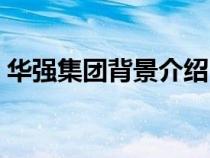 華強(qiáng)集團(tuán)背景介紹(華強(qiáng)集團(tuán)的創(chuàng)始人是誰(shuí)) 華強(qiáng)集團(tuán)背景介紹(華強(qiáng)集團(tuán)的創(chuàng)始人是誰(shuí))