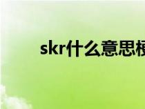 skr什么意思梗網(wǎng)絡(luò)（skr什么意思）