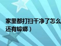 家里都打掃干凈了怎么會有蟑螂（家里打掃得很干凈為什么還有蟑螂）