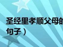 圣經(jīng)里孝順父母的經(jīng)典句子(孝順父母的經(jīng)典句子) 圣經(jīng)里孝順父母的經(jīng)典句子(孝順父母的經(jīng)典句子)