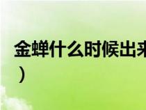 金蟬什么時候出來的最多（金蟬什么時候出來）