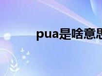 pua是啥意思說(shuō)（pua是啥意思）