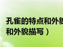 孔雀的特點和外貌描寫的一段話（孔雀的特點和外貌描寫）