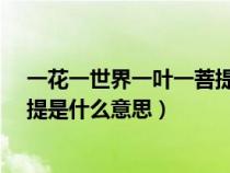 一花一世界一葉一菩提是什么意思?（一花一世界一葉一菩提是什么意思）
