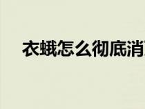 衣蛾怎么徹底消滅（衣蛾如何徹底消滅）