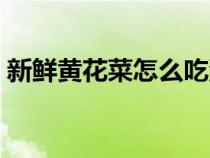 新鮮黃花菜怎么吃沒毒（新鮮黃花菜怎么吃）