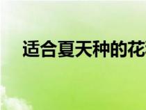 適合夏天種的花種子（適合夏天種的花）