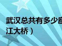 武漢總共有多少座長江大橋（武漢有多少座長江大橋）