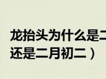 龍?zhí)ь^為什么是二月初二（龍?zhí)ь^是二月初一還是二月初二）