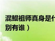混鯤祖師真身是什么（混鯤祖師的所有徒弟分別有誰）