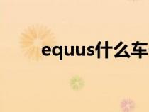 equus什么車子（equus是哪個車）