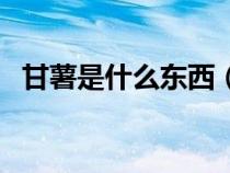 甘薯是什么東西(甘薯和紅薯有什么區(qū)別) 甘薯是什么東西(甘薯和紅薯有什么區(qū)別)