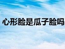 心形臉是瓜子臉嗎圖片（心形臉是瓜子臉嗎）