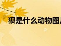 狽是什么動物圖片 視頻（狽是什么動物）