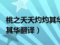 桃之夭夭灼灼其華意思是什么（桃之夭夭灼灼其華翻譯）