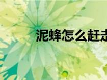 泥蜂怎么趕走（趕走泥蜂的方法）